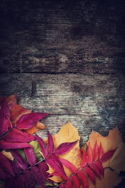 Bovenaanzicht Van Herfstbladeren Geplaatst Hoop Houten Achtergrond — Stockfoto