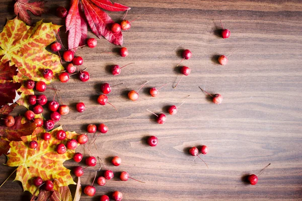 Top View Autumn Leaves Berries Placed Wooden Background — Stock Photo, Image