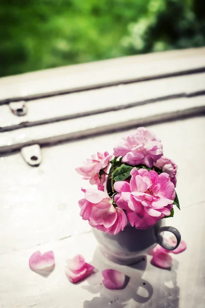 Pembe Şakayık Gül Pencere Üzerinde Tencerede — Stok fotoğraf