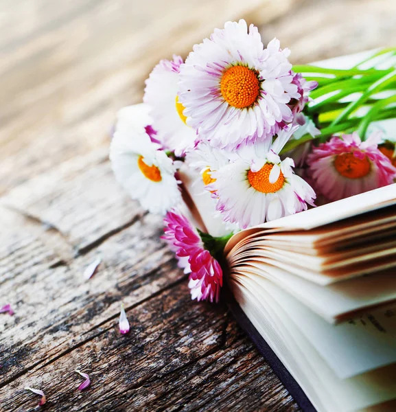 木製テーブルの上に開かれた本のヒナギクの明るい花束 — ストック写真