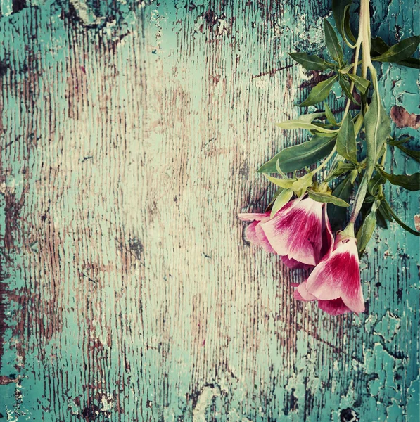 Nahaufnahme Ansicht Der Natürlichen Wildblumen Strauß Auf Holz Hintergrund — Stockfoto