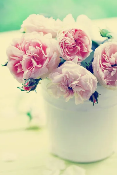 Primer Plano Rosas Peonía Rosa Maceta Blanca — Foto de Stock
