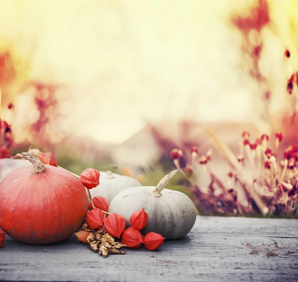 Calabazas Otoño Sobre Mesa Rústica Madera —  Fotos de Stock