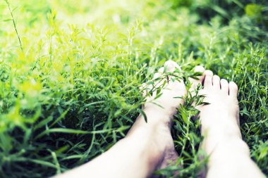 Ayaklarda papatya çiçekler ile çayır çim