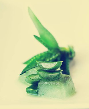 beyaz zemin üzerine dilimlenmiş aloe yapraklarda yakın çekim
