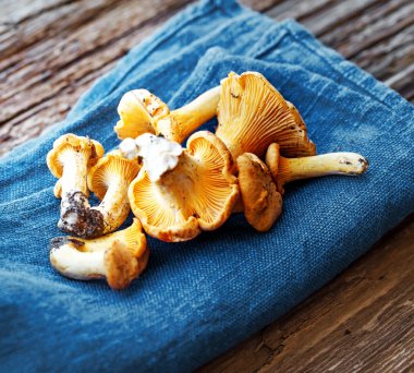 ahşap masa üzerinde mavi kumaş üzerine taze chanterelles yığını 