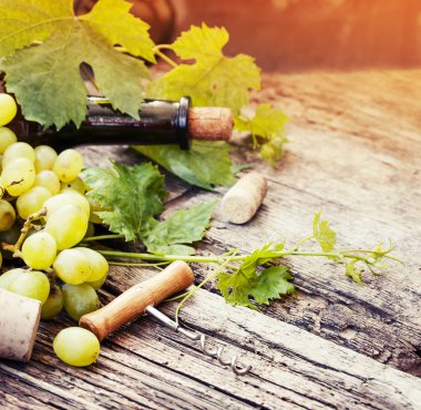 Bir şişe şarap, üzüm ve ahşap masa tarihinde mantarlar