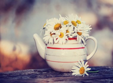 taze chamomiles ahşap yüzeyde vintage çaydanlık