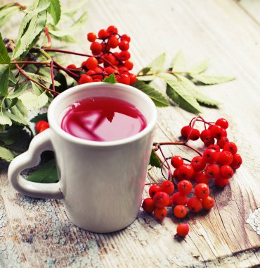 taze kırmızı çay bardağı çilek ve dalları ile görünümünü portre