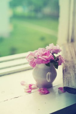 pembe şakayık gül pencere üzerinde tencerede