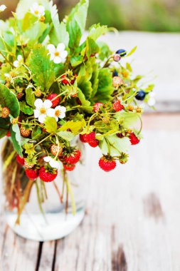 Yaban çilekleri ve yaban mersini yaprak ve Çiçek vazosu ile taze demet