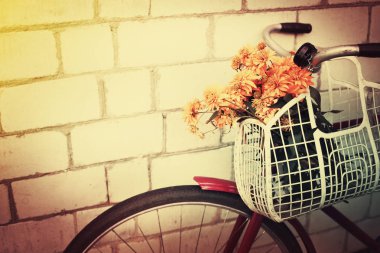 vintage bisiklet üzerinde asılı dandelions sepetle closeup görünümü