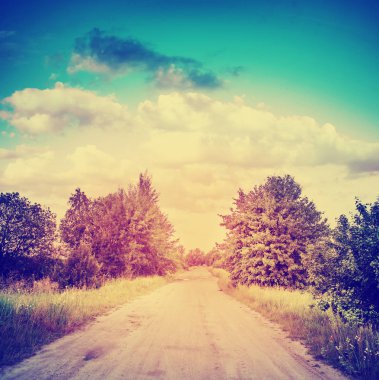 Otsu çayır üzerinde güzel doğa 