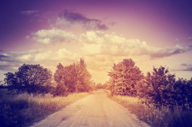 Otsu çayır üzerinde güzel doğa 