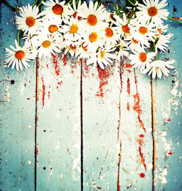 Ahşap arka plan üzerinde renkli ve yumuşak papatya çiçekler