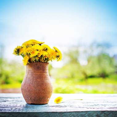 ahşap tablo açık havada taze sarı papatya buketi