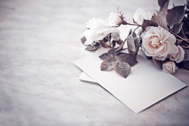 boş resim kağıdım vintage renk üzerine beyaz güller