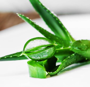 ahşap masa üzerine dilimlenmiş aloe yapraklarda yakın çekim 