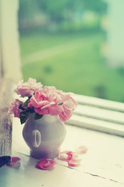 pembe şakayık gül pencere üzerinde tencerede