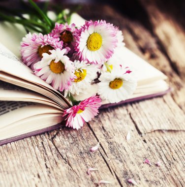 ahşap masa üzerinde açık kitap üzerinde papatya parlak buket