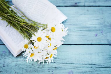 mavi ahşap masa üzerinde açık kitap üzerine taze kesilmiş chamomiles buket