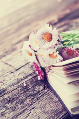 doğal kır çiçekleri buketi kitap Ahşap yüzeyi üzerinde görünümünü portre