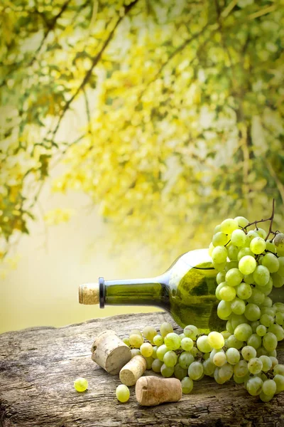 Bottle of white wine, grape and corks on wooden table