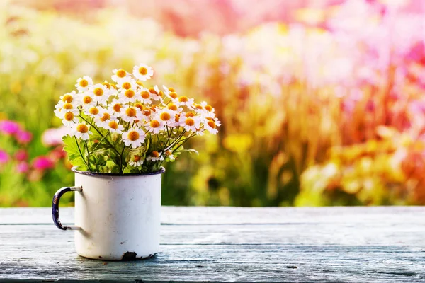 Fantastiska Blommande Blommor Med Bladverk Och Örter — Stockfoto