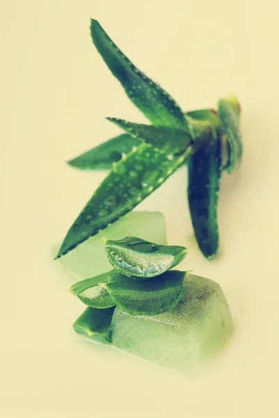 Close Sliced Aloe Leaves Table — Stock Photo, Image