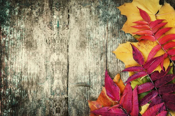 Top View Autumn Leaves Wooden Table Copy Space — Stock Photo, Image