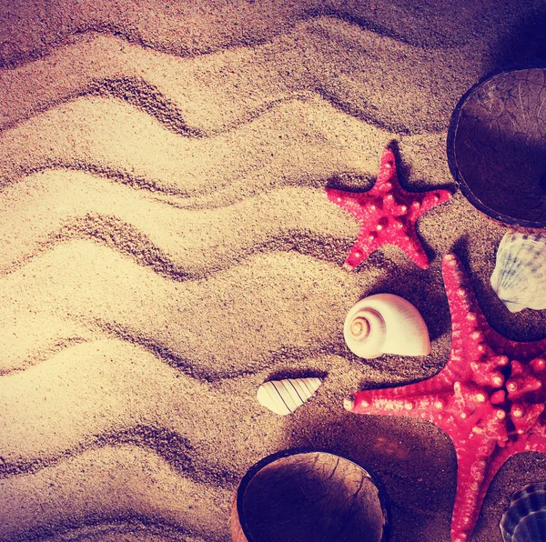 Closeup View Starfishes Beach Accessories Sand — Stock Photo, Image