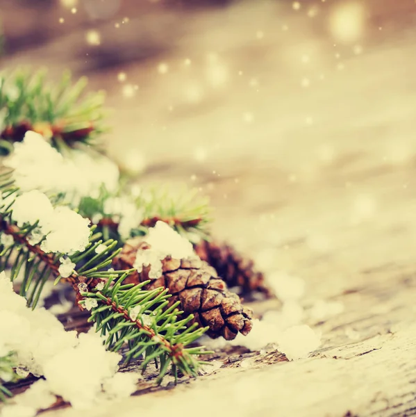 特写镜头的松树锥在雪地上的圣诞节装饰在木背景 — 图库照片