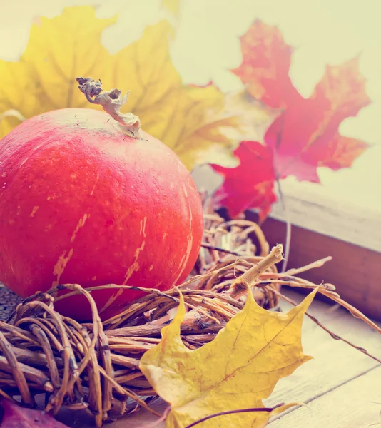 Fall Pumpkins Leaves Improvised Nest — Stock Photo, Image