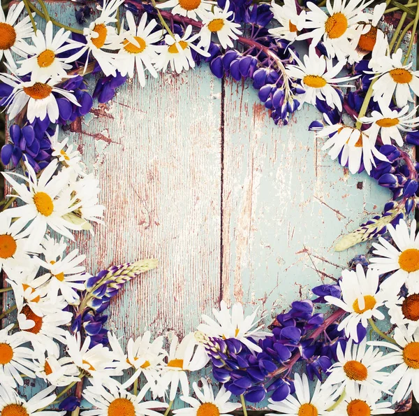 Zomer Madeliefjes Paarse Bloemen Houten Oppervlak — Stockfoto
