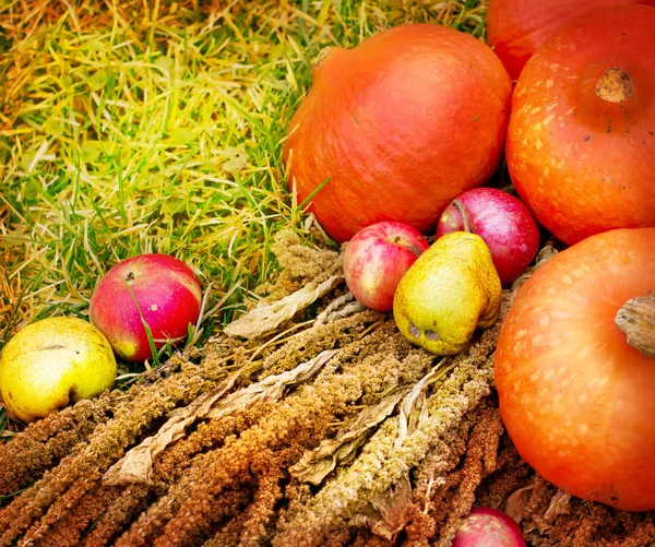 Fresh Orange Pumpkins Heap Autumn Background — Stock Photo, Image