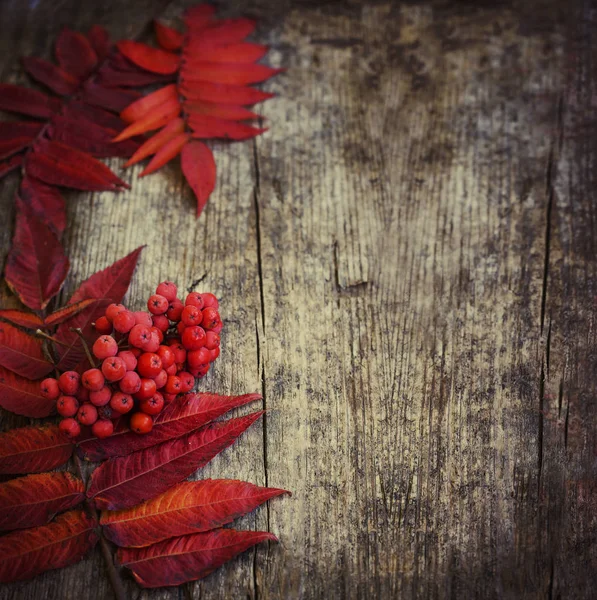 Bovenaanzicht Van Herfst Bladeren Bessen Houten Tafel — Stockfoto