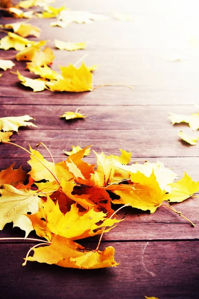 Elevated View Autumn Leaves Wooden Table — Stock Photo, Image