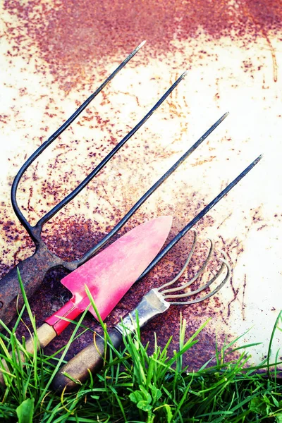 Gardening Tools Rustic Old Background — Stock Photo, Image