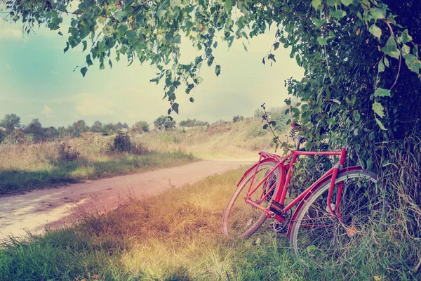 美丽的自然与自行车在草甸 — 图库照片