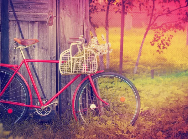 Vieux Vélo Rouge Avec Des Fleurs Dans Panier Dans Village — Photo