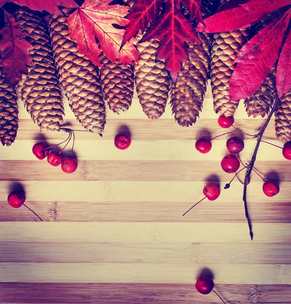 Thanksgiving Day Concept Wooden Background — Stock Photo, Image