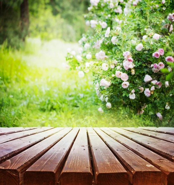 Vackra Ljusa Blommor Trädgården Och Trä Yta — Stockfoto