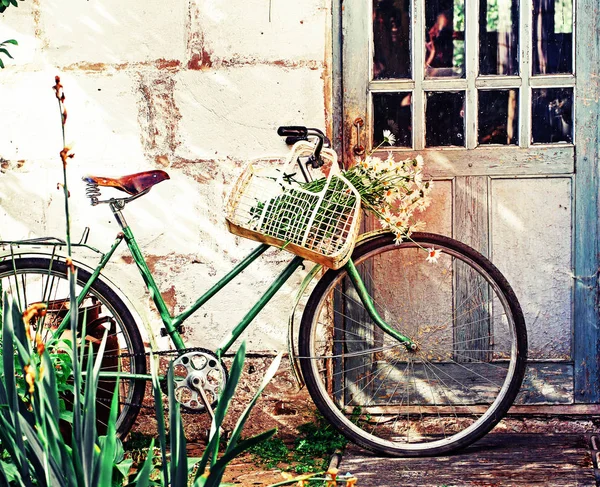 复古旧自行车与春黄菊在篮子 — 图库照片