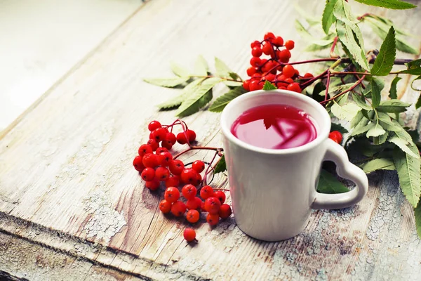 Vista Ravvicinata Della Tazza Rosso Fresco Con Bacche Rami — Foto Stock