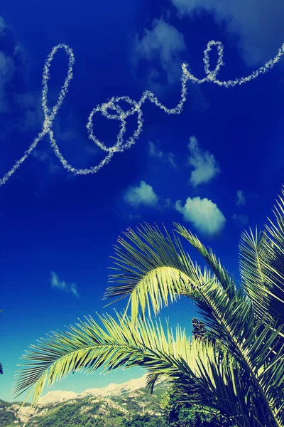 Vista Panorámica Hermosas Hojas Palma Contra Cielo —  Fotos de Stock
