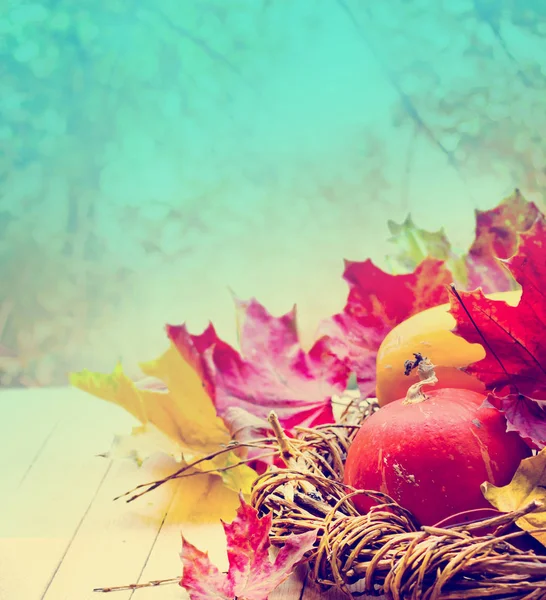 Herbst Kürbisse Und Blätter Improvisierten Nest — Stockfoto