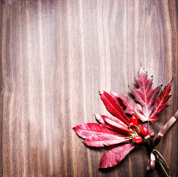 木製のテーブルに紅葉とベリーのトップ ビュー — ストック写真