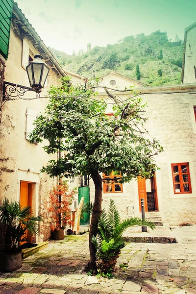 small courtyard with old brick houses and green trees around