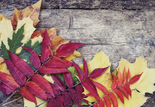 Pohled Shora Podzim Listy Dřevěný Stůl Kopií Prostor — Stock fotografie