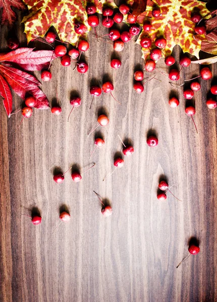 Top View Autumn Leaves Berries Placed Wooden Background — Stock Photo, Image